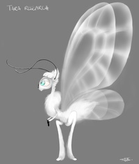 Tara experiment 2