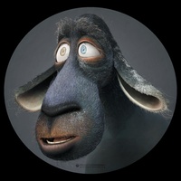 Franck's fuzzy face
