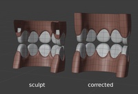Jay teeth - corrected