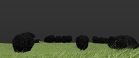 Flock shot with new set