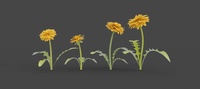 Dandelion update