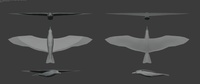 Seagull Model Sheet