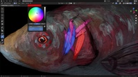 Custom Brush Stroke Draw Tool