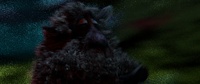 Franck in the storm 7