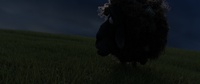 Lighting test: Franck runs from the storm
