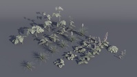 Flower Assets Frozen - Test
