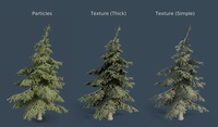 Pine Tree Setup Test
