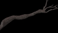 1st branch sculpt