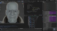Einar Face - Displacement System