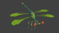 Dragonfly update