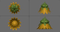 Dandelion Sponge Model