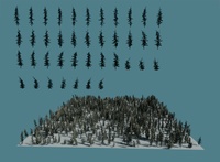 Pine tree cards