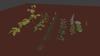 Plants growing + cycle