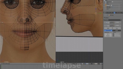 10 - Cheek, Jaw, Forehead, Scalp