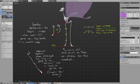 Changing Tara's rig: the legs