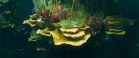 Underwater set - set dressing 2