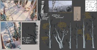 birch tree notes