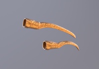 Wu Manchu creepy nail thing rendered