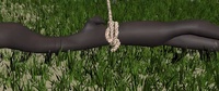 Branch-grass intersection test