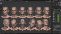 Einar - Facial Sculpting File