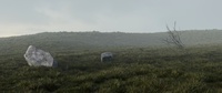 Foggy wide angle
