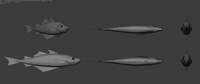 Pollock Model Sheet Topology