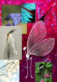 Tara's wing concept