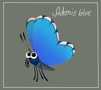 Butterfly final design