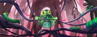 Jungle frog