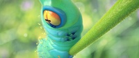 Caterpillar