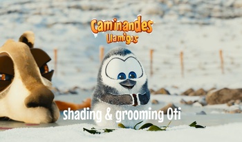 Shading and Grooming Oti