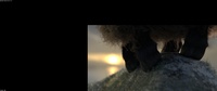 Franck's effing hooves with even more light