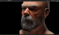 Einar- grooming test viewport