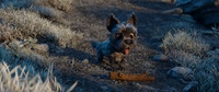 01_025_A - Render test 4