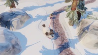Procedural Animations