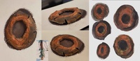 knothole concept and texture