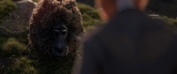 Franck fur render: with camera culling