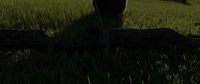 New grass sim: Franck pulls the log.