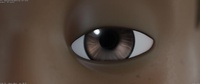 Eye movement test (Snow rig)