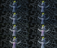Spiderweb Material Tests