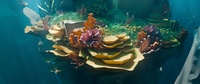 Reef shot v10 - animation render