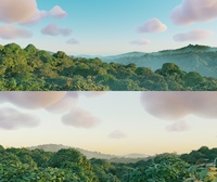 Forest Set - Render Tests