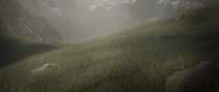 Meadow - test render