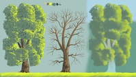 oak_color.jpg