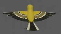 Bird Sculpting (Expression)