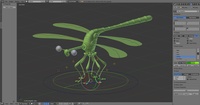 Dragonfly Rig
