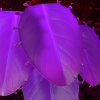 Hero leaf, in cluster
