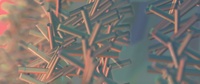 2017-11-24 - Another test for new opening