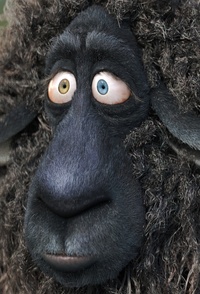 Frank on Wednesday, it's all in the eyes