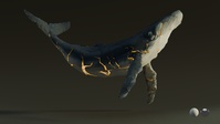 Whale - Shattered with Light